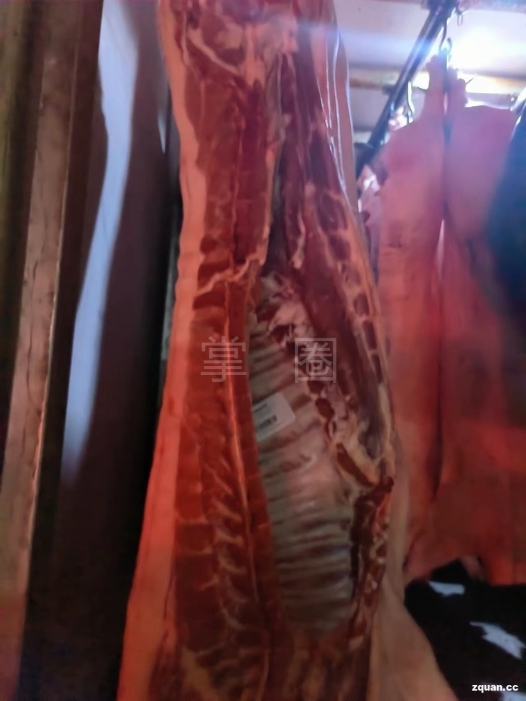 白条肉批发